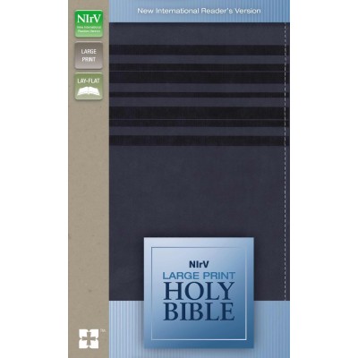 NIRV Large Print Holy Bible